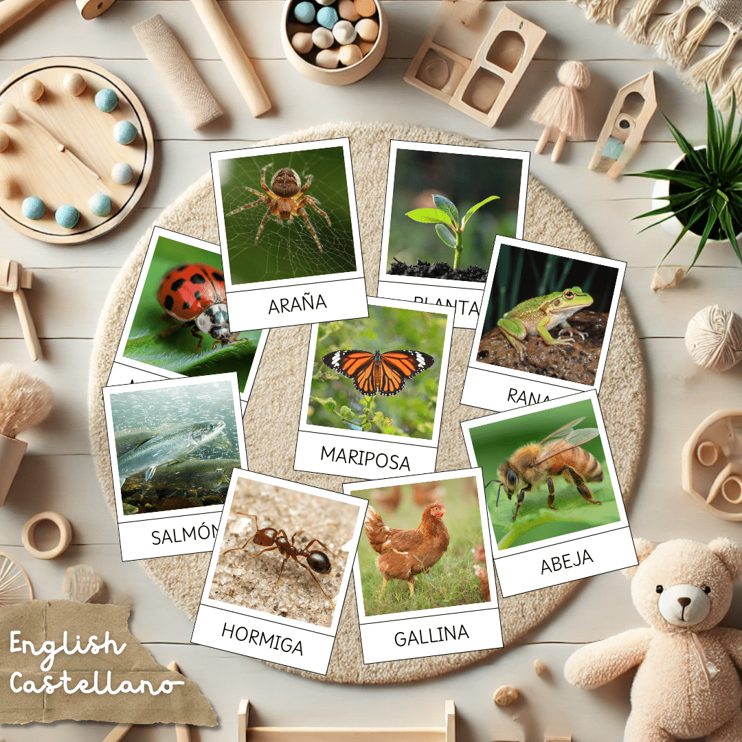 Tarjetas Montessori ciclos de la vida (pack completo)
